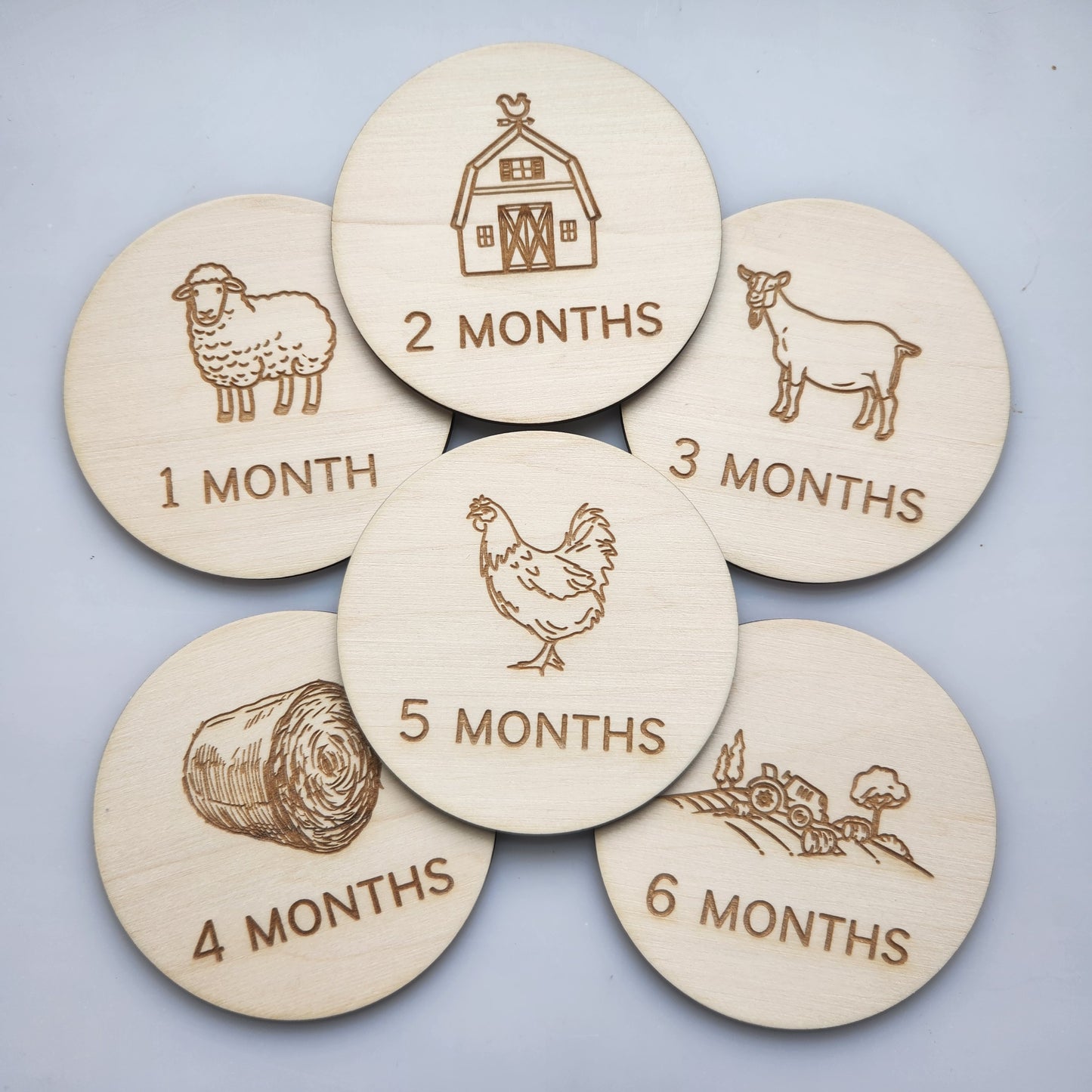 Baby Monthly Markers