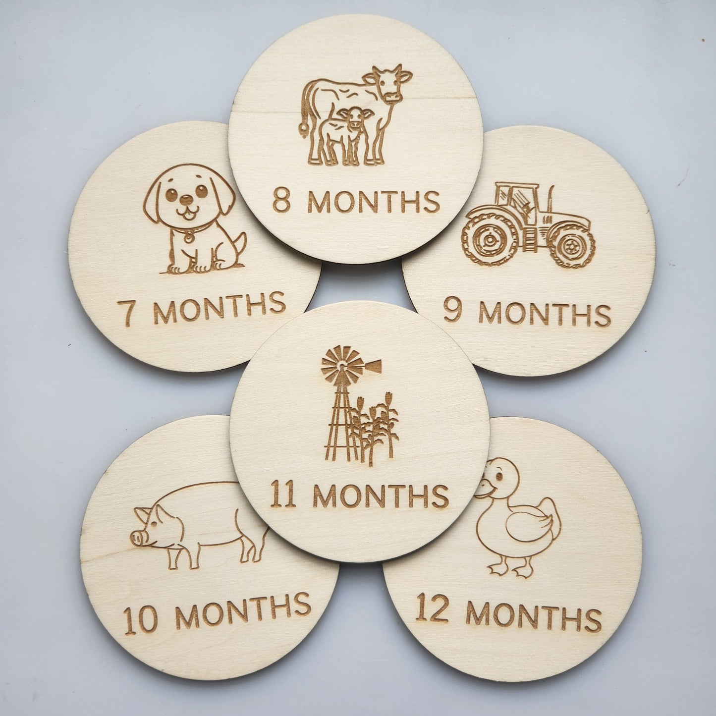 Baby Monthly Markers